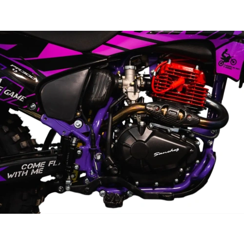 Мотоцикл SANCHEZ Maniac PR300