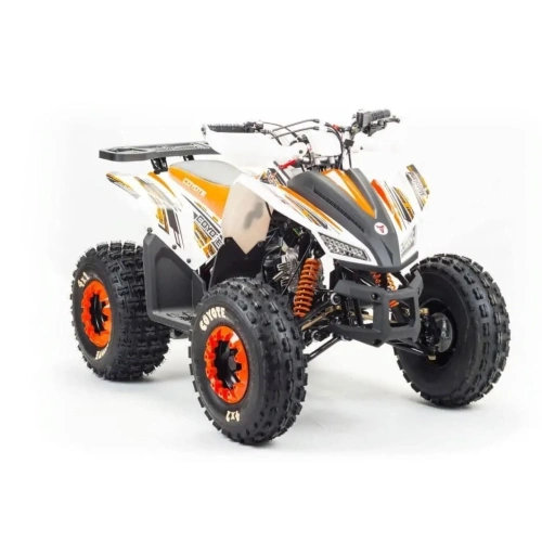 Квадроцикл MOTOLAND 125 Coyote (2021 Г.)