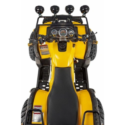 Квадроцикл RAPTOR Max Pro 250 (жёлтый/чёрный) (2024)