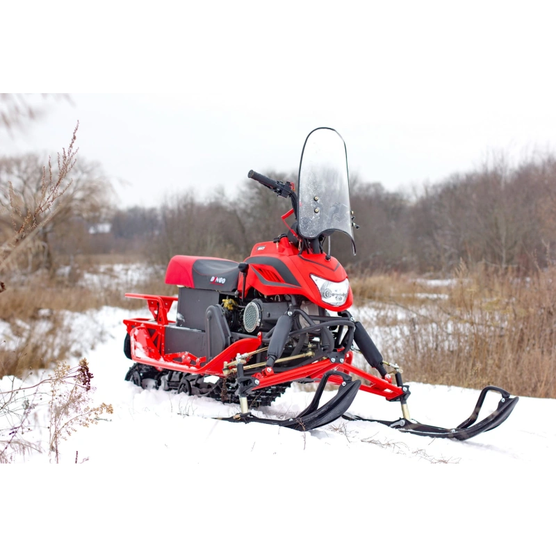 Снегоход IRBIS Dingo T150