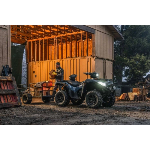 Квадроцикл KAWASAKI Brute Force 750 EPS (2024) (ПСМ)