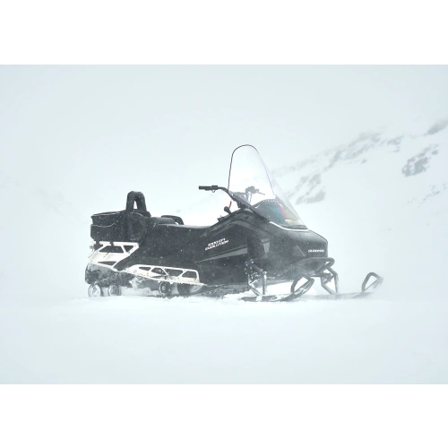 Снегоход SHARMAX SHP-1000 EFI