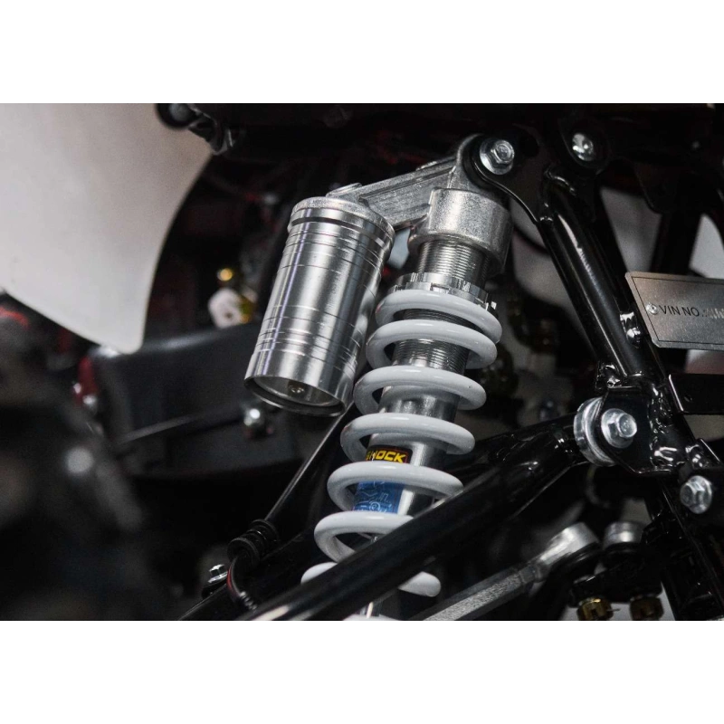Квадроцикл SHARMAX Raizer Race Cup 250