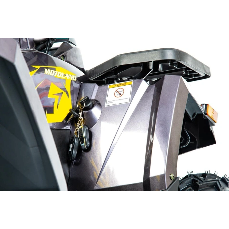 Квадроцикл MOTOLAND 200 Wild Track X Pro (2022)