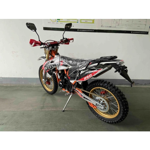 Мотоцикл кроссовый эндуро ROLIZ Sport-007