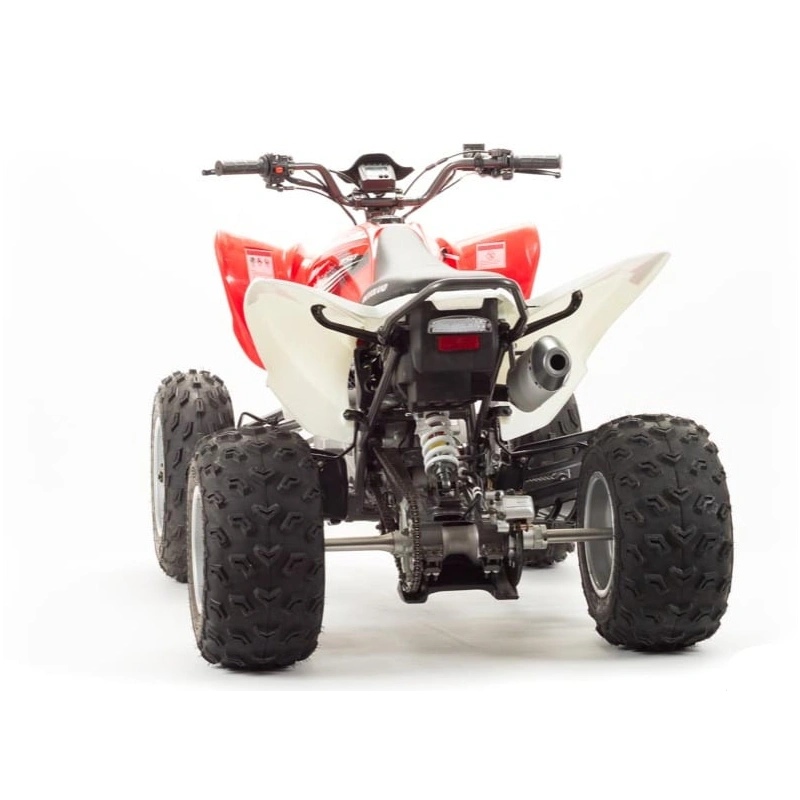 Квадроцикл MOTOLAND 125S (2020 Г.)
