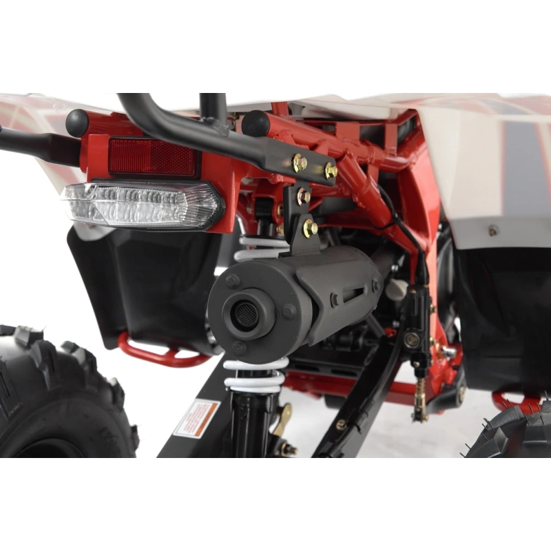 Квадроцикл MOTAX Grizlik A125