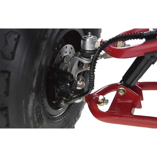 Квадроцикл WELS Thunder Evo X