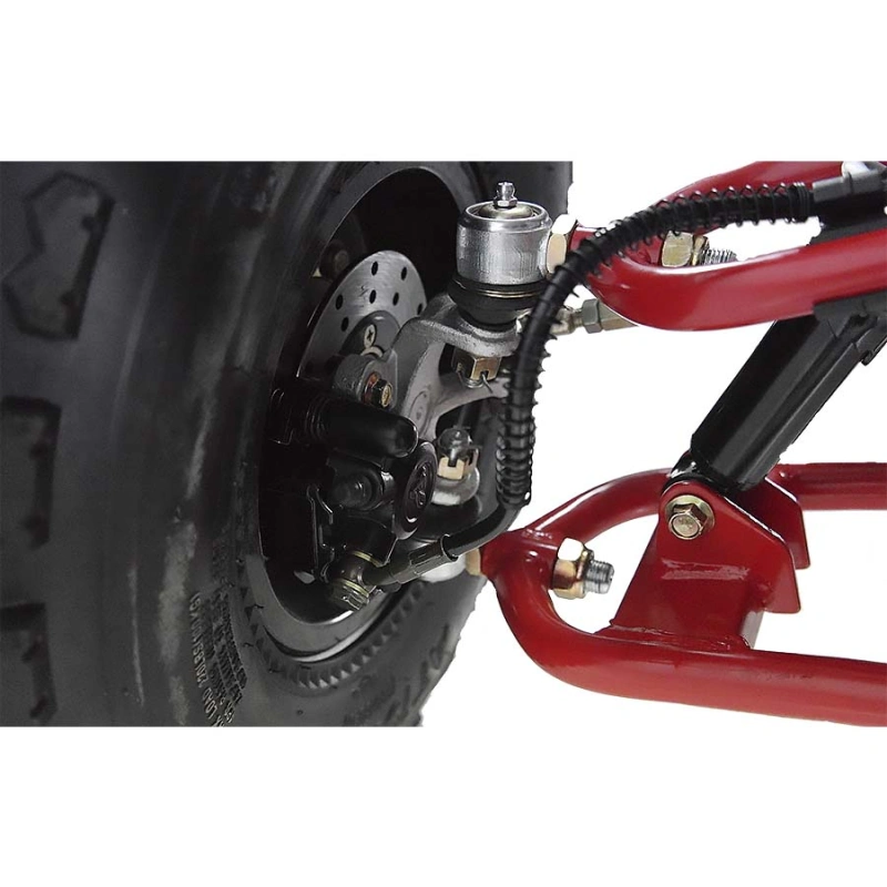 Квадроцикл WELS Thunder Evo X