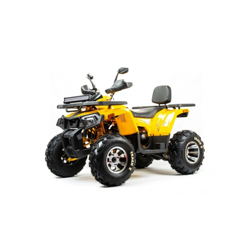 Квадроцикл BISON Track X Pro