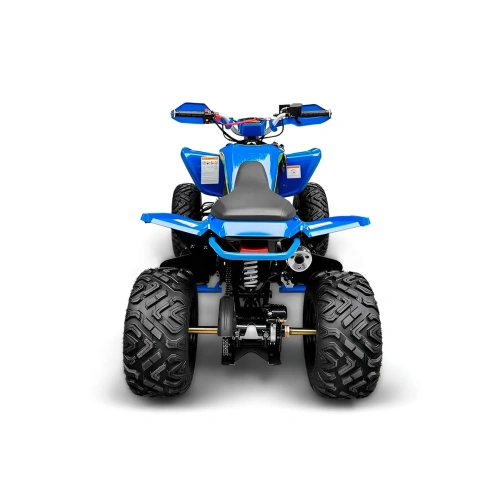 Квадроцикл RACER Typhoon 250