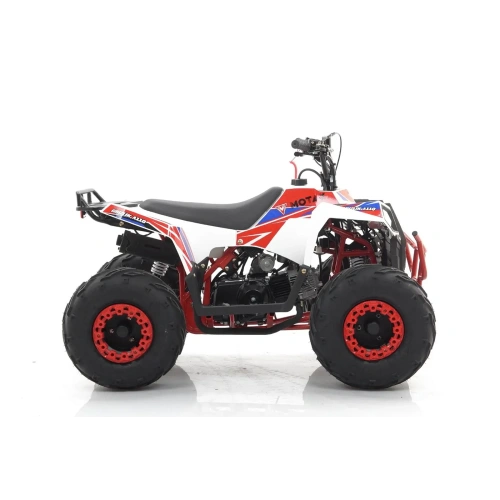 Квадроцикл MOTAX Grizlik A110