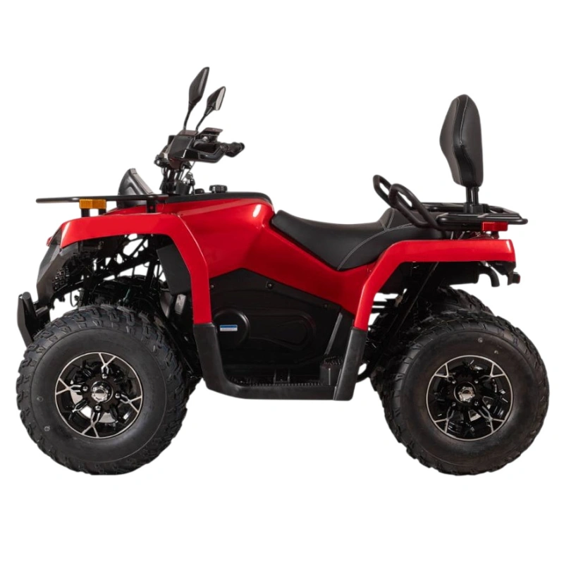 Квадроцикл BIZON YK250 Lux EFI