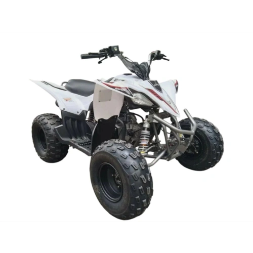 Квадроцикл MIKILON Rapide 120 EFI