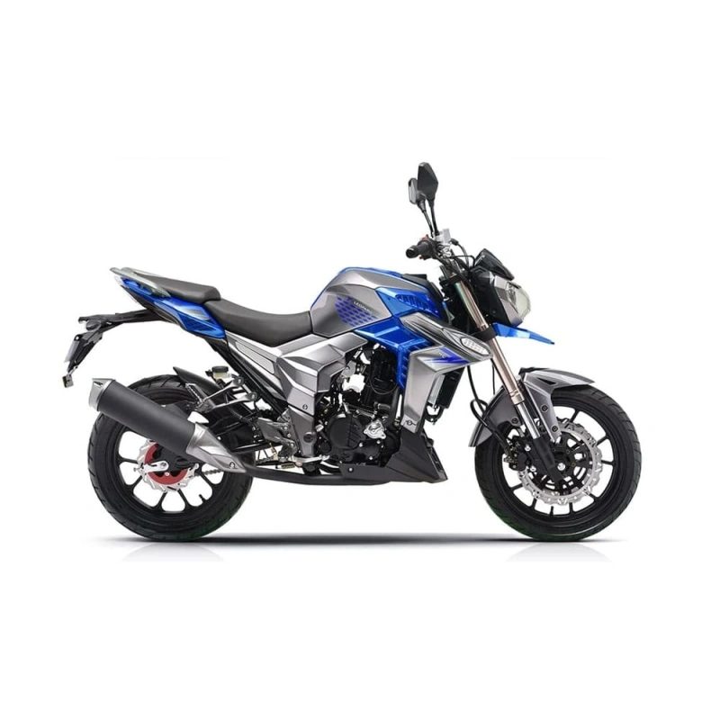 Мотоцикл REGULMOTO T-Leopard 300