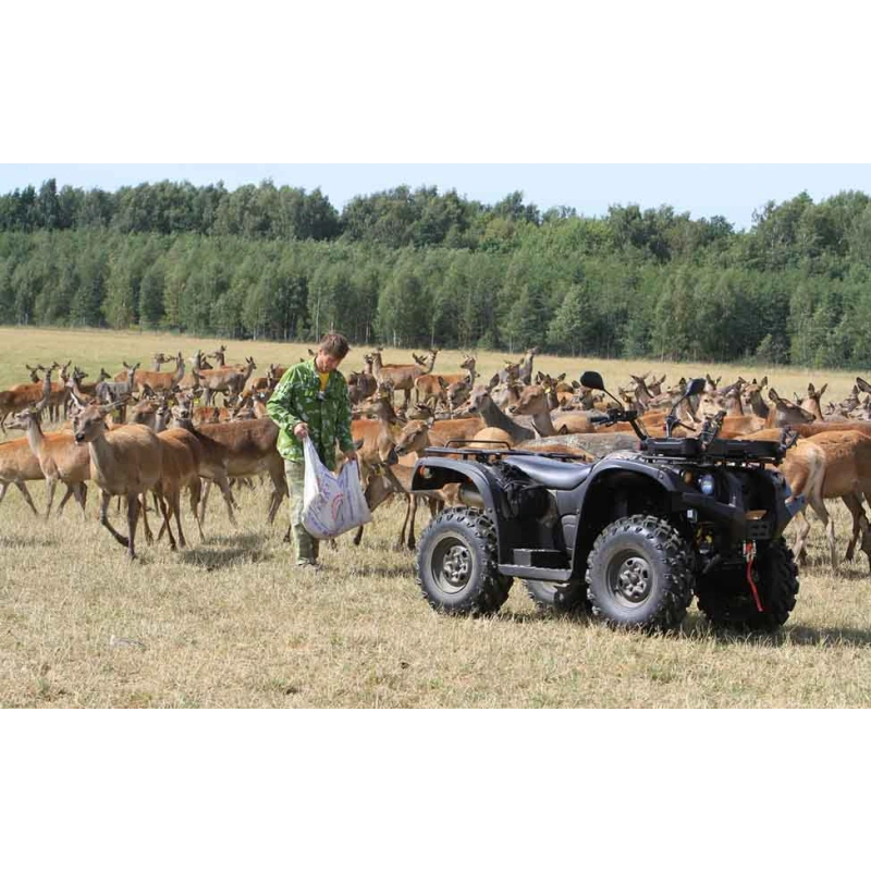 Квадроцикл BALTMOTORS Striker 700 EFI (ПСМ)