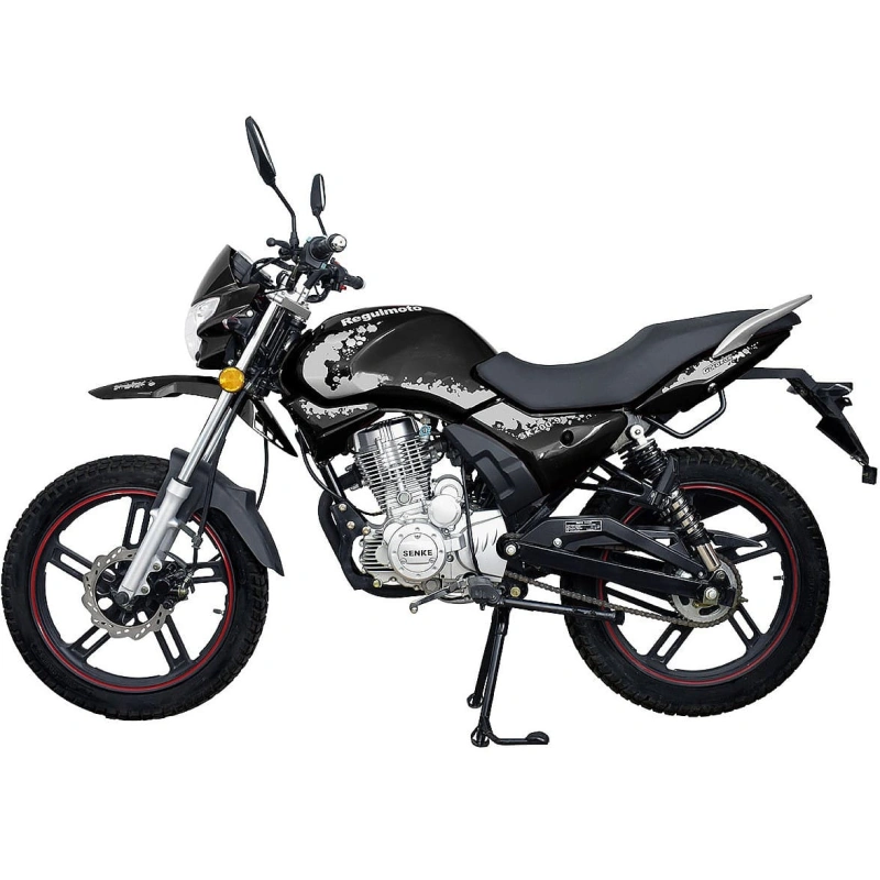 Мотоцикл REGULMOTO SK200-9