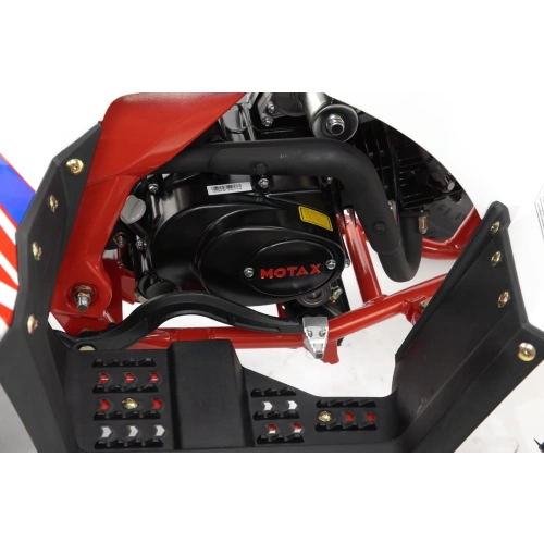 Квадроцикл MOTAX Grizlik A125