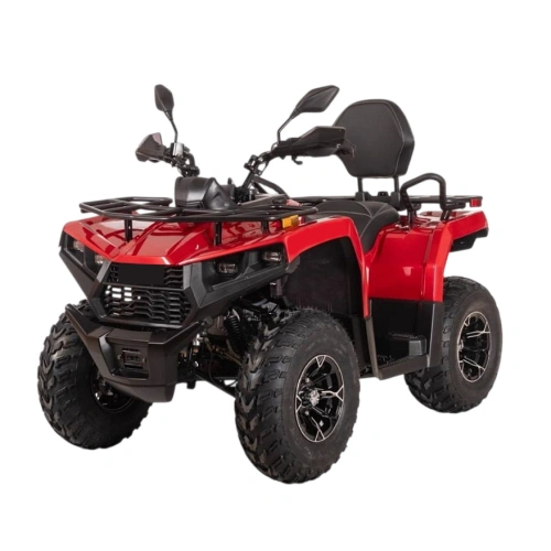 Квадроцикл BIZON YK250 Lux EFI