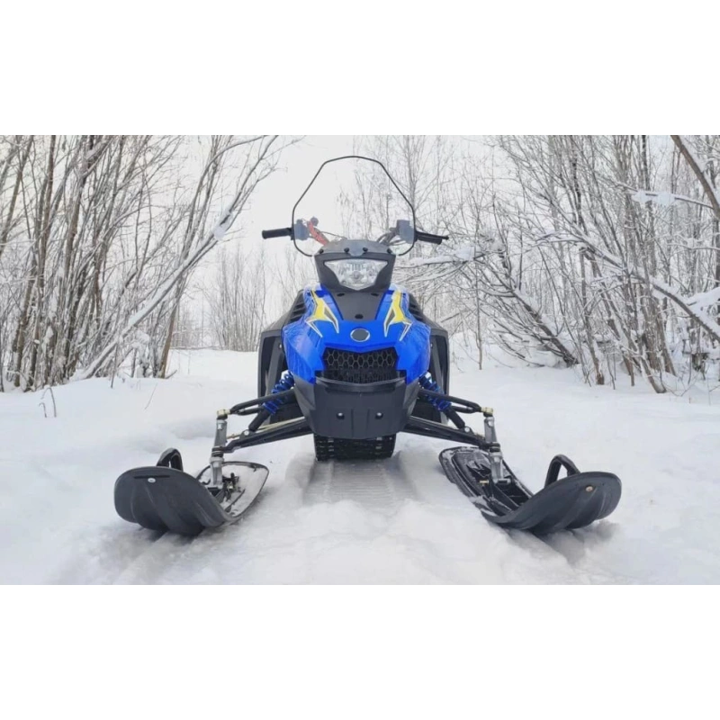Снегоход WOIDEAL WD 300