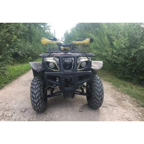 Квадроцикл MOTOLAND 250 Adventure (2021 Г.)