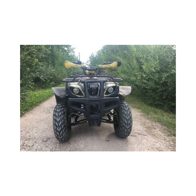 Квадроцикл MOTOLAND 250 Adventure (2021 Г.)