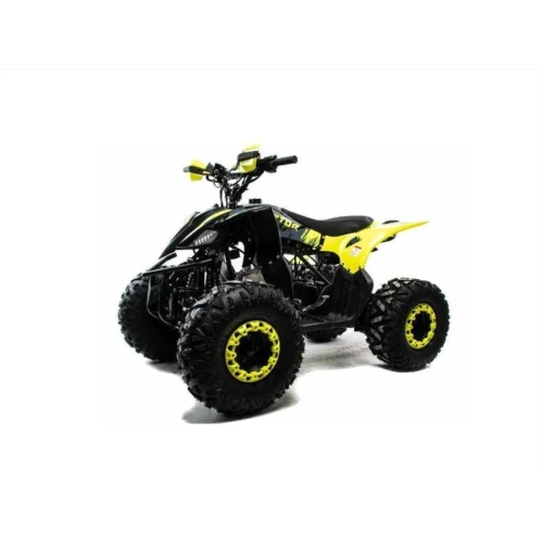 Квадроцикл MOTOLAND ATV Raptor A 125