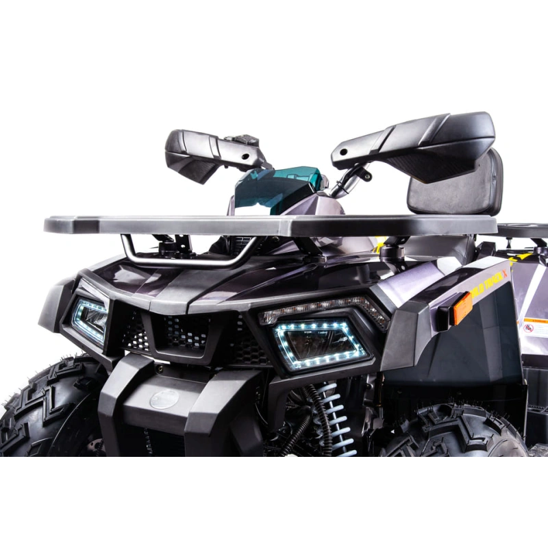 Квадроцикл MOTOLAND 200 Wild Track X Pro (2022)