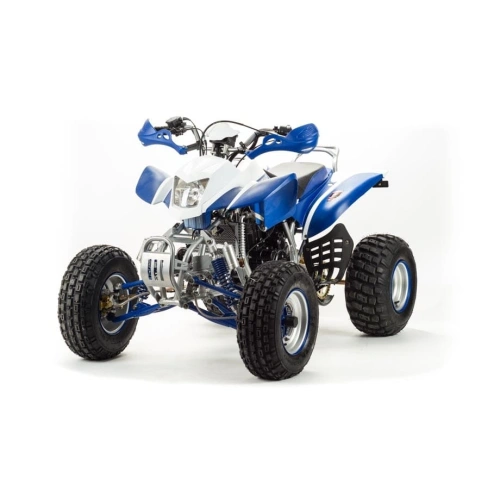 Квадроцикл MOTOLAND 250 Dakar