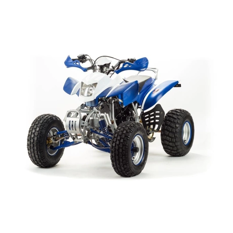 Квадроцикл MOTOLAND 250 Dakar
