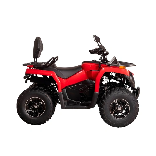 Квадроцикл BIZON YK200 Basic Carb