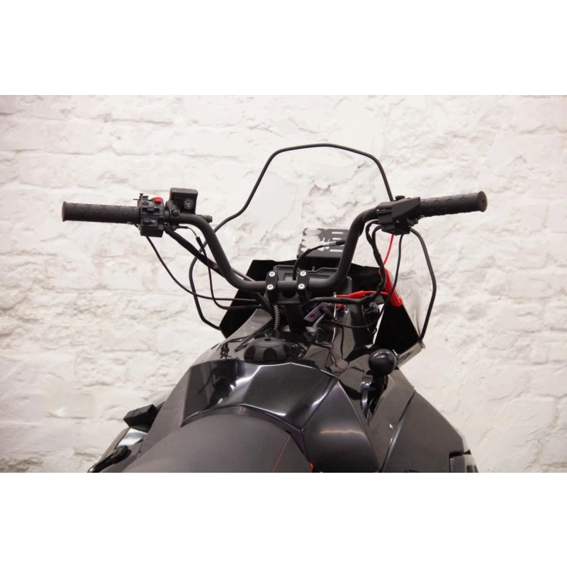 Снегоход IRBIS SF200L