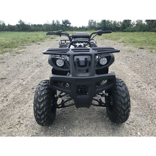 Квадроцикл HAMMER Hunter 300