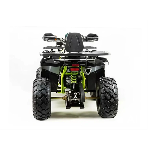 Квадроцикл MOTOLAND 200 Wild Track Pro