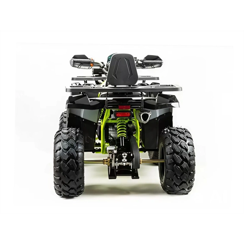 Квадроцикл MOTOLAND 200 Wild Track Pro