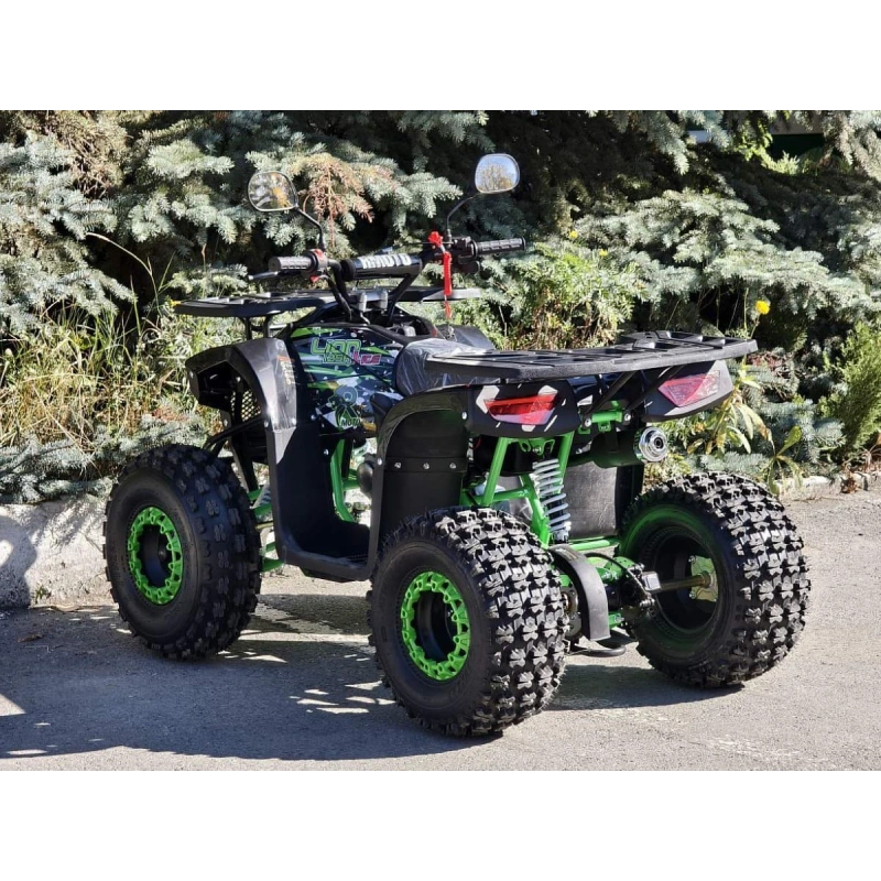 Квадроцикл RMOTO Lion 125AR Lite