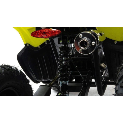 Квадроцикл MOTOLAND 125 Raptor