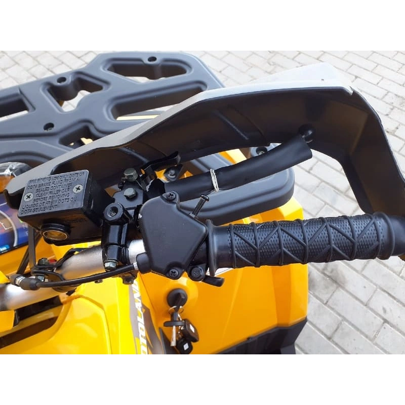 Квадроцикл MOTOLAND ATV 200 Wild Track