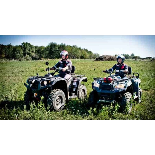 Квадроцикл BALTMOTORS Striker 700 EFI (ПСМ)