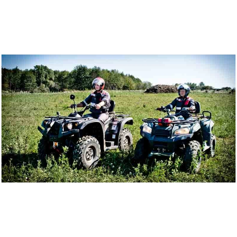 Квадроцикл BALTMOTORS Striker 700 EFI (ПСМ)