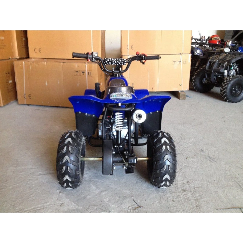 Квадроцикл RAPTOR 110
