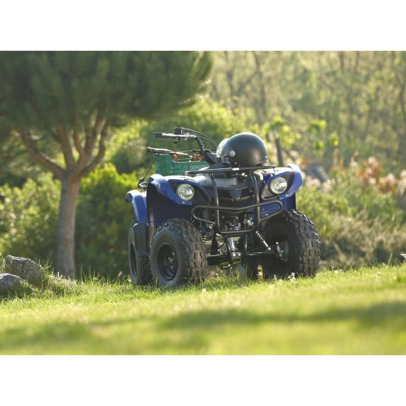 Квадроцикл GRIZZLY 125