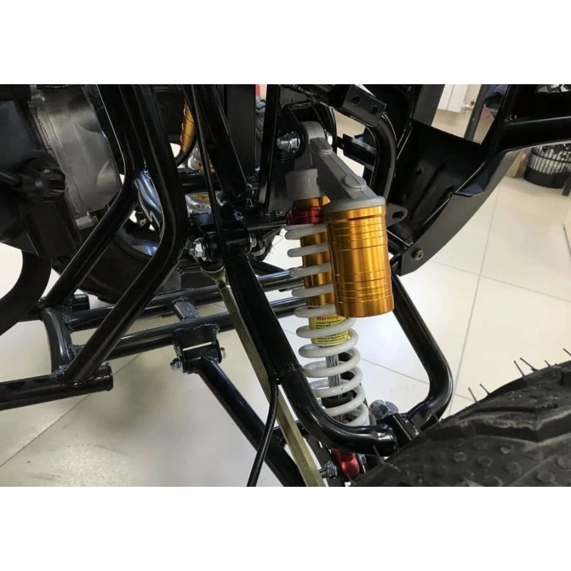 Квадроцикл RAPTOR Max Pro 250 (жёлтый/чёрный) (2024)