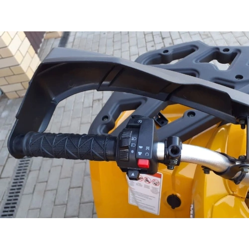 Квадроцикл MOTOLAND ATV 200 Wild Track