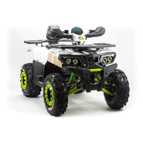 Квадроцикл MOTOLAND ATV 200 Wild Track