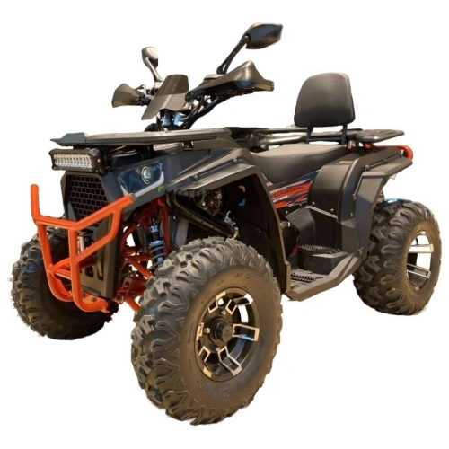 Квадроцикл FXMOTO Wasp 250 Lux