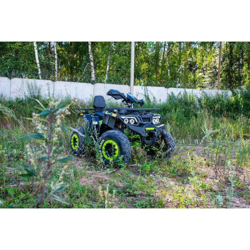 Квадроцикл MOTOLAND 200 Wild Track Lux ( Баланс. вал) (2021 Г.)