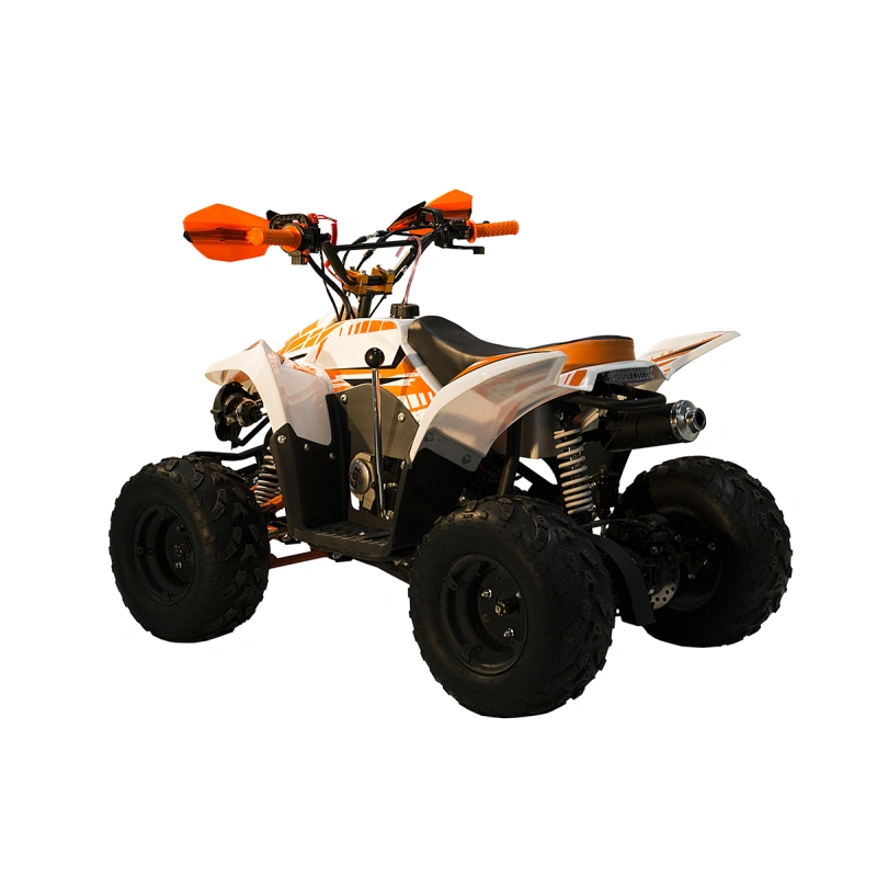 Квадроцикл RACER RC 110 Coyote