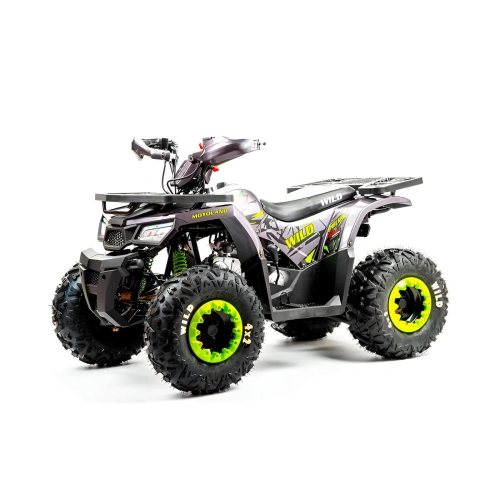 Квадроцикл MOTOLAND Wild Basic 125