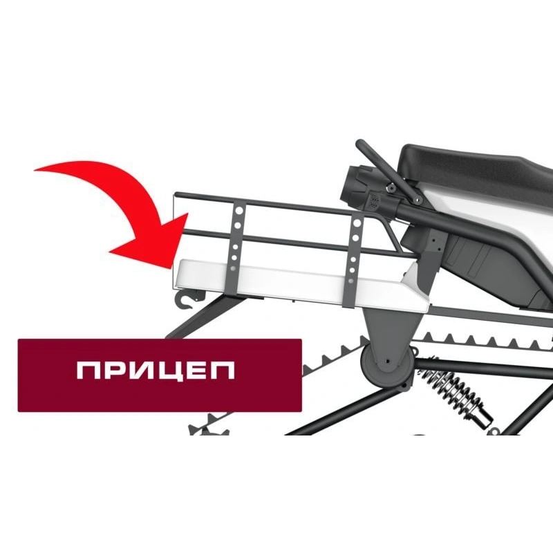 Снегоход WELS 200RS
